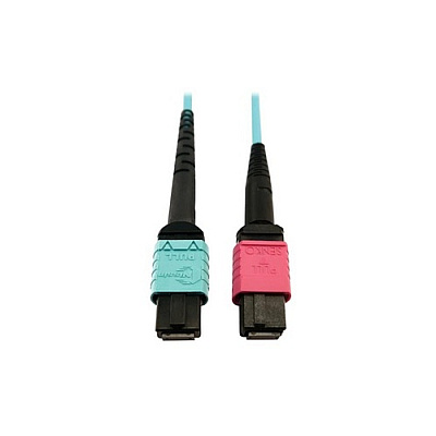 Tripp Lite Fiber 24f Mtp/mpoupc 16f Mtp/mpoupc 1m (N846D01M24DAQ)