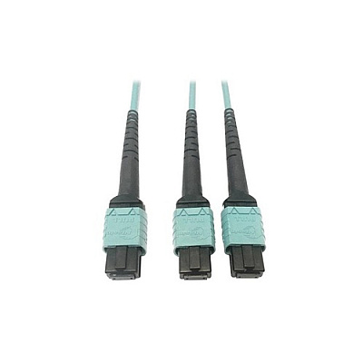 Tripp Lite Fiber 24f Mtp/mpo-pcx2 12f Mtp/mpo-pc 3m (N846D03M24BAQ)