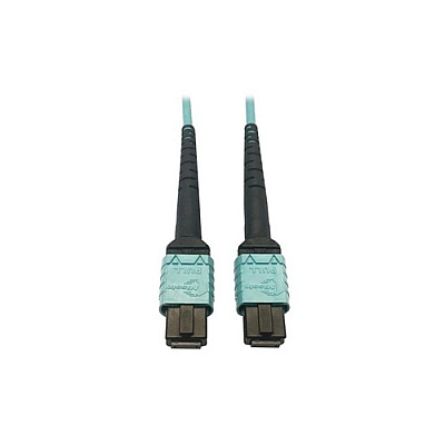 Tripp Lite Mmf Fiber Cable 24f Mtp/mpo-pc F/f 5m (N846D05M24AAQ)