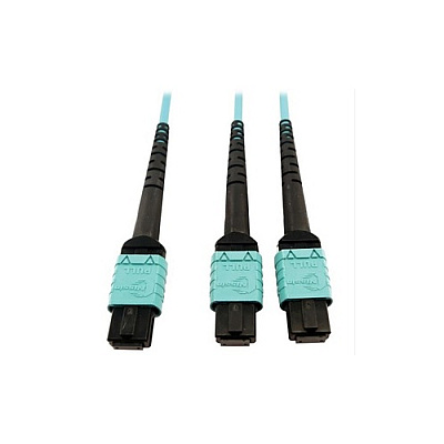Tripp Lite Fiber 24f Mtp/mpo-pcx2 12f Mtp/mpo-pc 5m (N846D05M24BAQ)