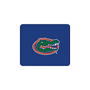 Centon Electronics Uni Of Florida Mousepad Clssc (OCUOFMH00C)