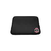 Centon Electronics Ohio State Uni Lt Slv Clssc 14 (OCOHS2ZG00A)