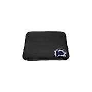 Centon Electronics Penn State Uni Lt Slv Clssc 14 (OCPENNZG00A)