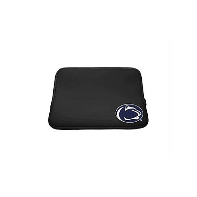 Centon Electronics Penn State Uni Lt Slv Clssc 14 (OCPENNZG00A)