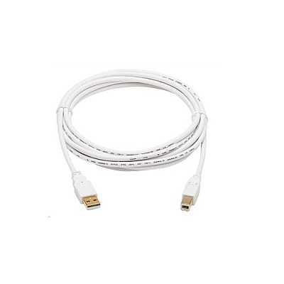 Tripp Lite Usb-a To Usb-b Antibacterial Cable 10ft (U022AB010WH)