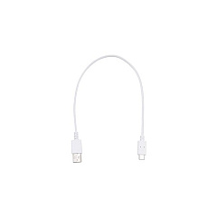 Bretford Powersyncpro G2 Smarthub 10s,ipad Mini (PSPT10SA2201A)