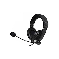 Ergoguys Headset Rotating Mic Black Usb (EG55BLK)