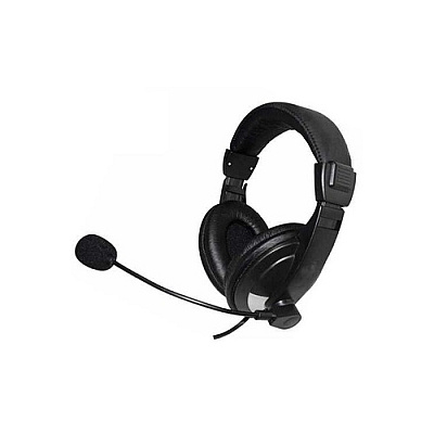 Ergoguys Headset Rotating Mic Black Usb (EG55BLK)