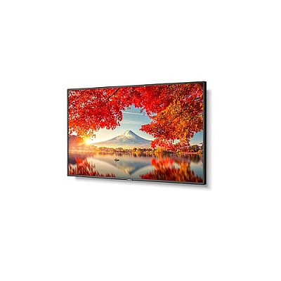 NEC 55 Led Lcd,uhd, 500nits,wcg,hdmi X2/out (MA551)