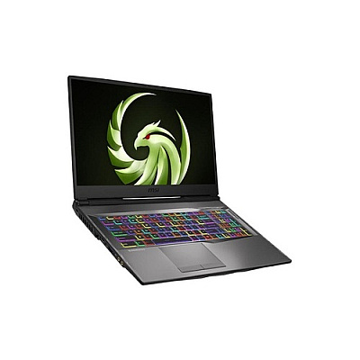 MSI Alpha 17 A4dek-011 17.3in R7 Rx5600m. (ALPHA17A011)