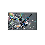 Philips 55in Prosumer (18/7 Landscape & Portrait) Display, Uhd (3840x2160), 400 Cd/m2, Usb, 3 Year Advance Exchange Warranty (55BDL3510Q/00)