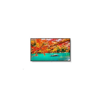 NEC Multisync (MA431)