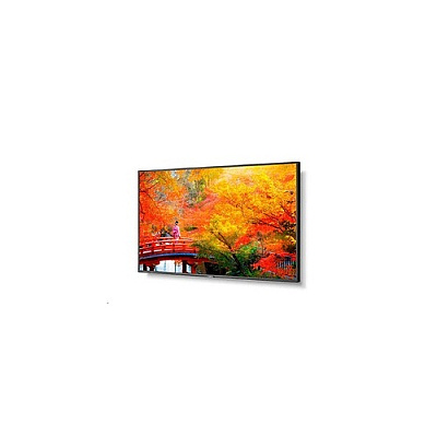 NEC Multisync (MA491)