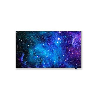 NEC 49 In Led Public Display With Built-in Atsc (E498)