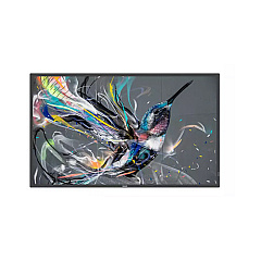 Philips 32in Prosumer (18/7 Landscape & Portrait) Display, Fhd (1920x1080) (32BDL3550Q/00)