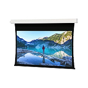 DA-Lite Screen Advantage Tnsd 110d Hd1.1 (21794LS)