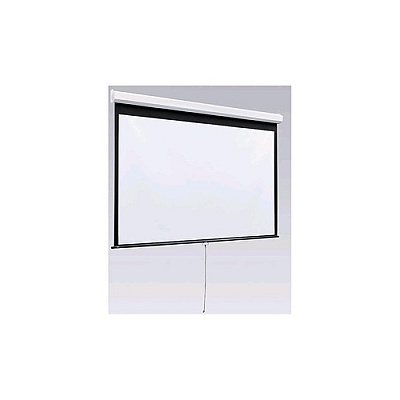 Draper Luma 2 Manual Projection Scrn 94 16:10 (206171)