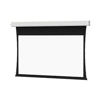 DA-Lite Screen Advantage Tnsd 109d Dm (70105LSR)