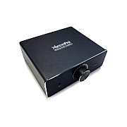 GCIG Audio Amplifier (11111)