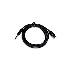 GCIG Type C Audio Jack (11168)