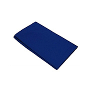 GCIG Muslin Backdrop (41131)