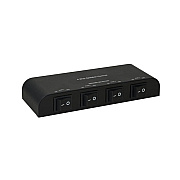 GCIG 1x4 Way Speaker Control Cinch (61051)