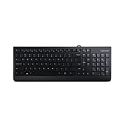 Lenovo Kb Mice_bo 300 Usb Keyboard (GX30M39655)