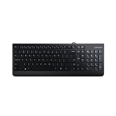 Lenovo Kb Mice_bo 300 Usb Keyboard (GX30M39655)