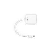 Rocstor Mini Dispalyport To Dvi Adapter - 1 X M (Y10A103W1)
