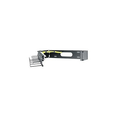 Middle Atlantic Products 2sp Wallmnt Hinged Panel (HPM2)