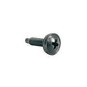 Middle Atlantic Products 100pc 10-32 Screw W/capt. (HW100)