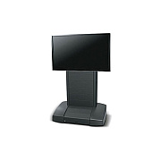 Middle Atlantic Products Intl 2scrn 42-55 Crt Bw (IVTC4255DBW)
