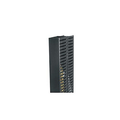 Middle Atlantic Products 3inchwx6inchdx38ru,dual Duct (PCD3638DC)