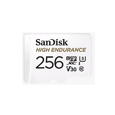 SanDisk High Endurance Microsdxc, 256gb, (SDSQQNR256GAN6)