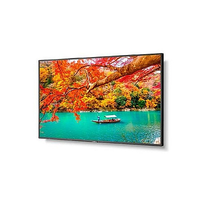 NEC Multisync Ma431-pc5 (MA431PC5)