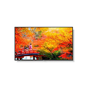 NEC Multisync Ma491-pc5 (MA491PC5)