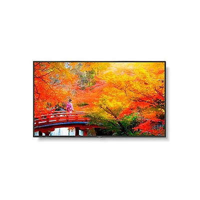 NEC Multisync Ma491-pc5 (MA491PC5)