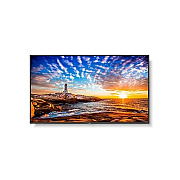NEC Multisync P555-pc5 (P555PC5)