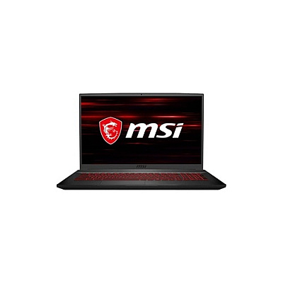 MSI Gf75 Thin 10scsr-642 17.3 I5 Gtx1650ti (GF75642)