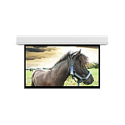 DA-Lite Screen Advantage 243d 119x212 Mw (36981BL)