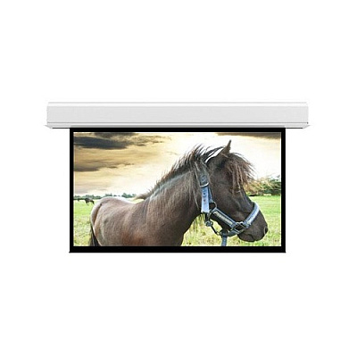 DA-Lite Screen Advantage 243d 119x212 Mw (36981BL)