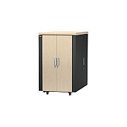 APC Netshelter Cx 24u Secure Soundproof Serv (AR4024SP)