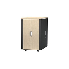 APC Netshelter Cx 24u Secure Soundproof Serv (AR4024SP)