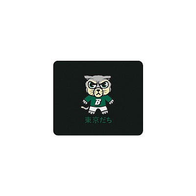 Centon Electronics Binghamton University (t) Mousepad Class (OCTBHUMH00A)