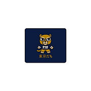 Centon Electronics Fiu (t) Mousepad Classic V2 (OCTFIUMH00B)