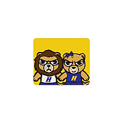 Centon Electronics Hofstra (t) Mousepad Cropped V2 (OCTHOFU2MH03B)