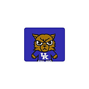 Centon Electronics Kentucky (t) Mousepad Cropped V2 (OCTKEN2MH03B)