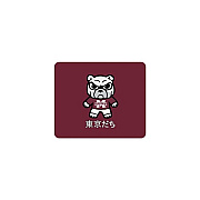 Centon Electronics Msu (t) Mousepad Classic V2 (OCTMST2MH00B)