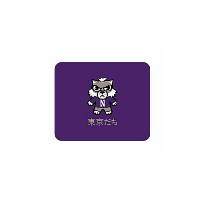 Centon Electronics Northwestern (t) Mousepad Classic V2 (OCTNWMH00B)