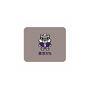 Centon Electronics Northwestern (t) Mousepad Classic V3 (OCTNWMH00C)